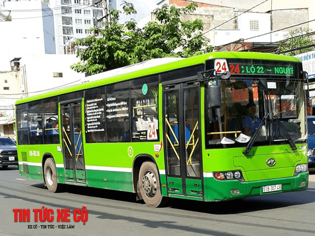 xe bus 31 tphcm
