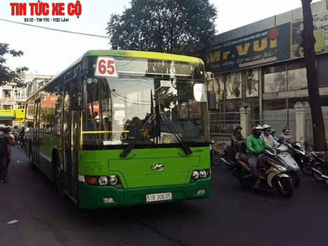 xe bus 65 tpchm