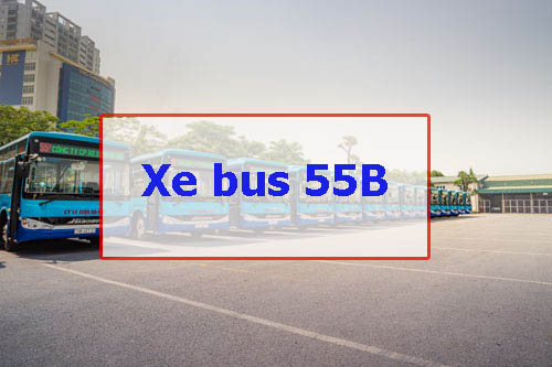 Xe bus 55B