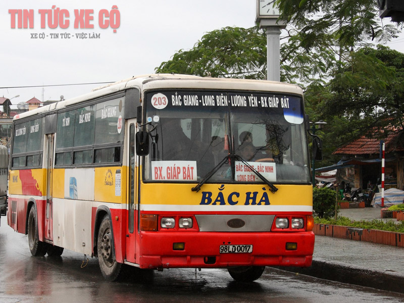 xe bus 203
