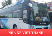 Nha Xe Viet Thanh