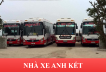 Xe Khach Anh Ket Trieu Son Lich Xuat Ben Gia Ve So Dien Thoai