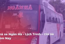 De89d4a06c0c277a80468f98e8e8b2ff474m16